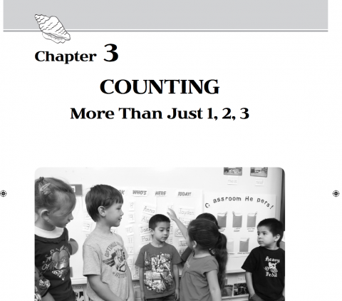 early math counting more than just 123 erikson